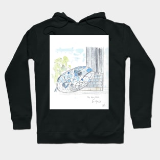 The Big Fish, Belfast Hoodie